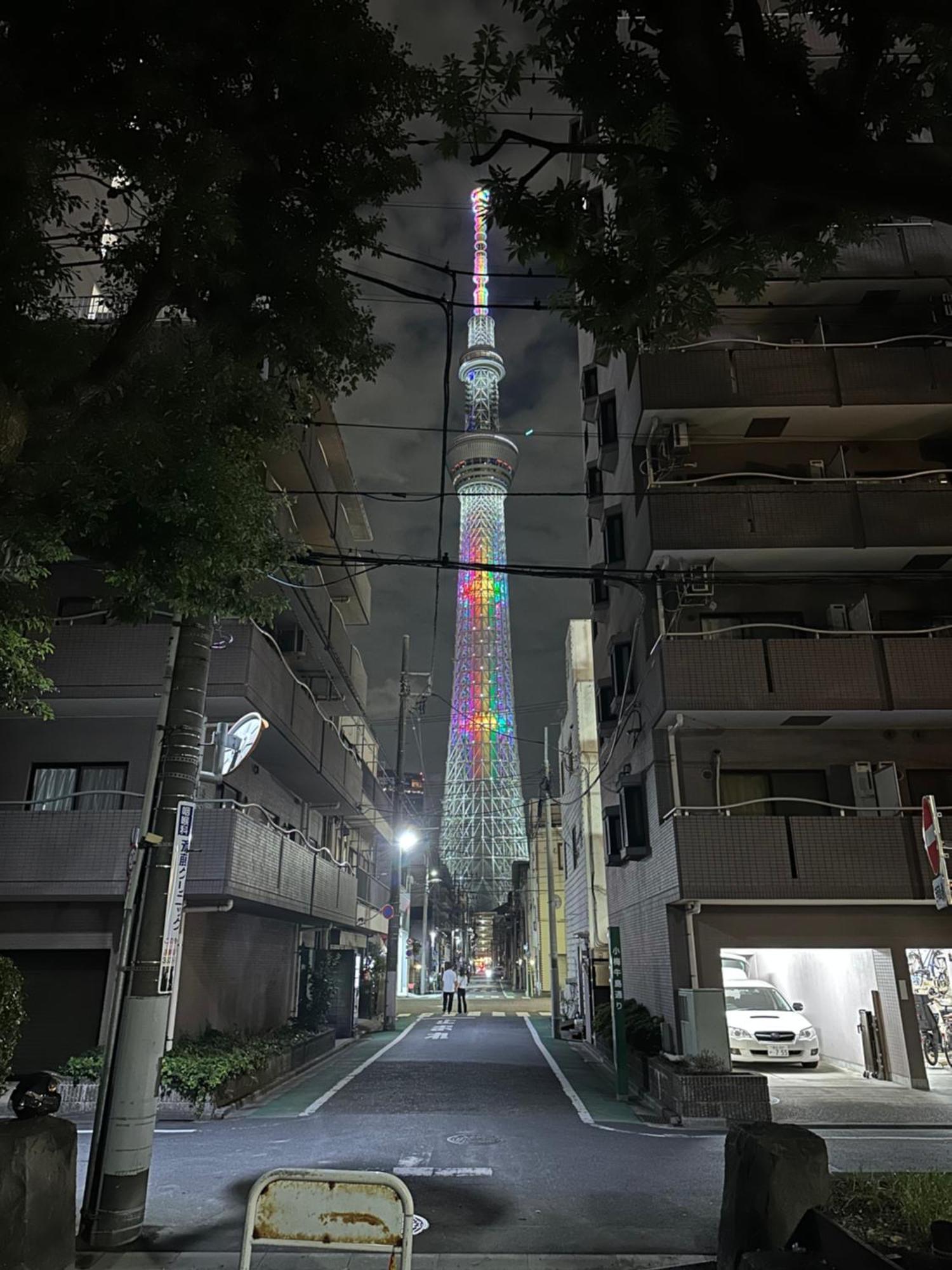 Wise Park Mukojima Apartment Tokyo Exterior photo