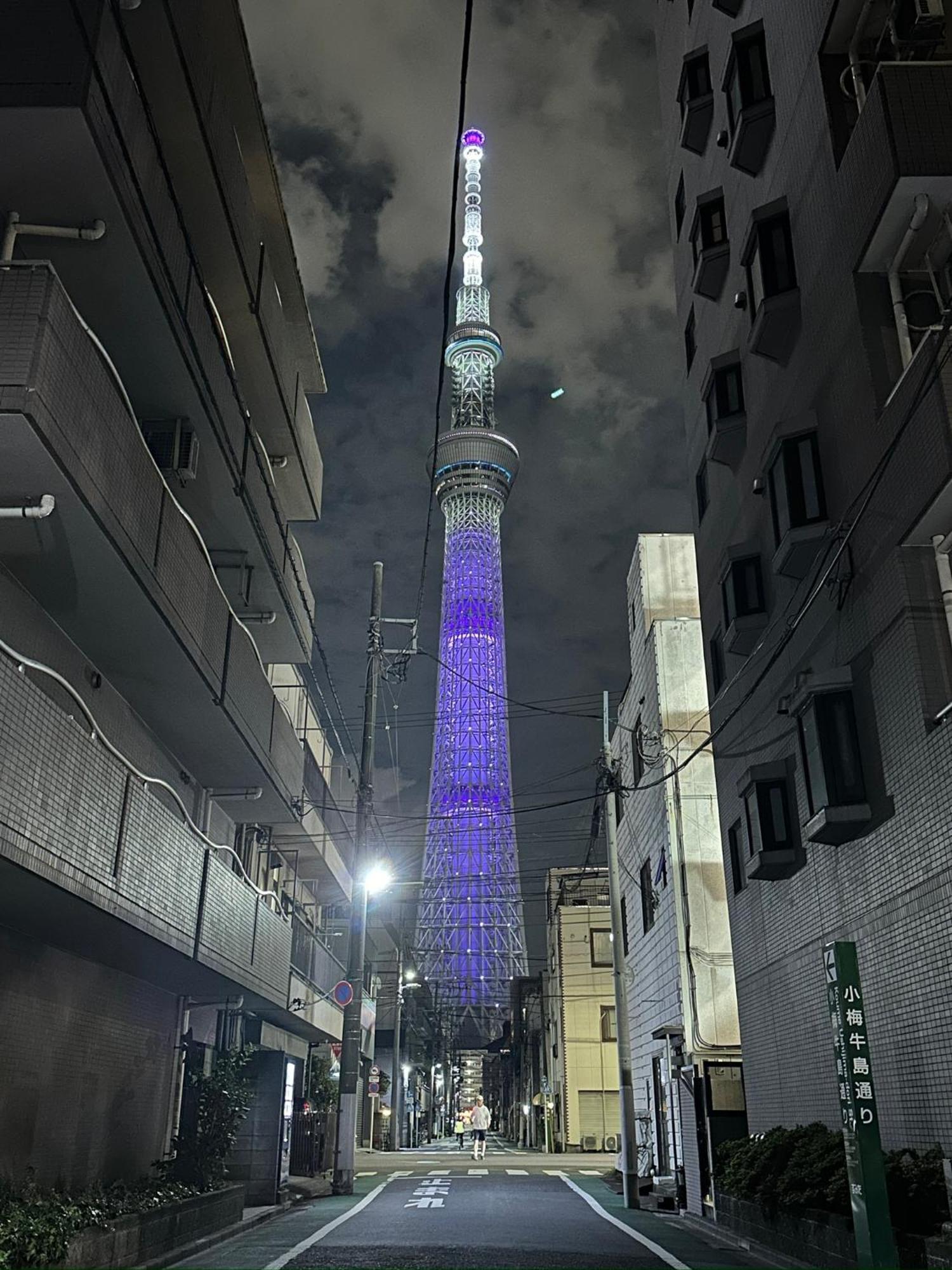 Wise Park Mukojima Apartment Tokyo Exterior photo